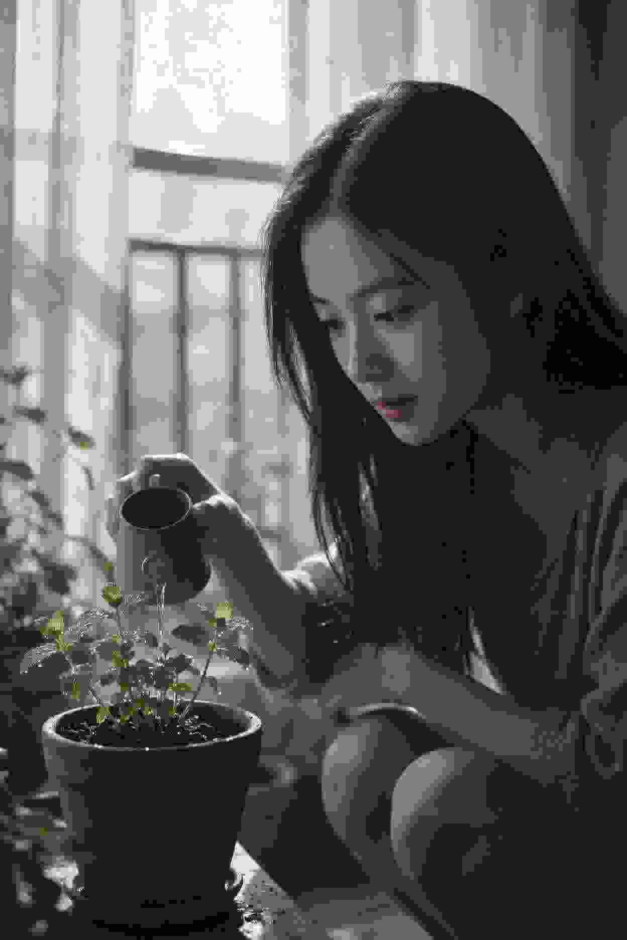 朋友们的故事