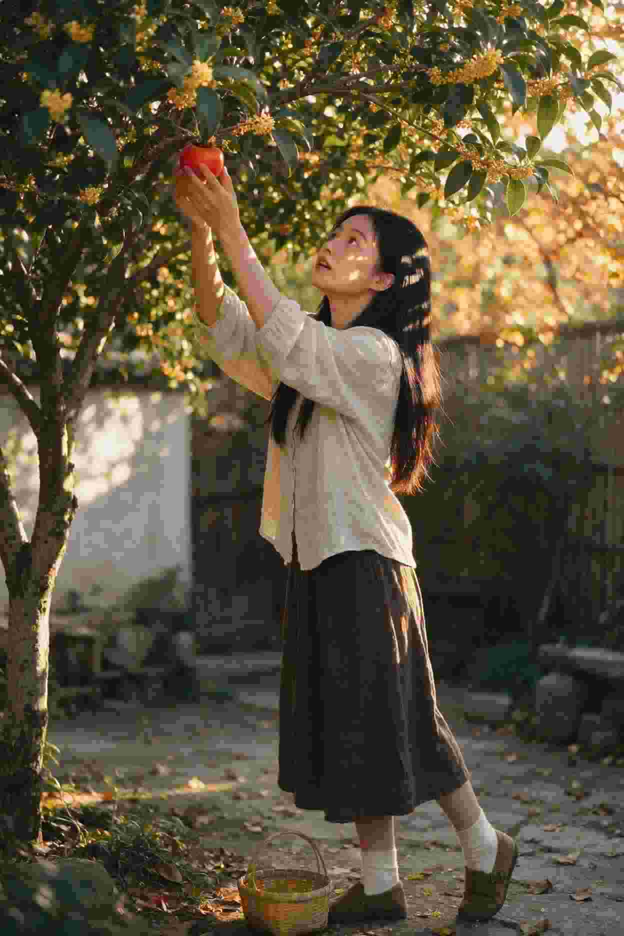 骗婚记